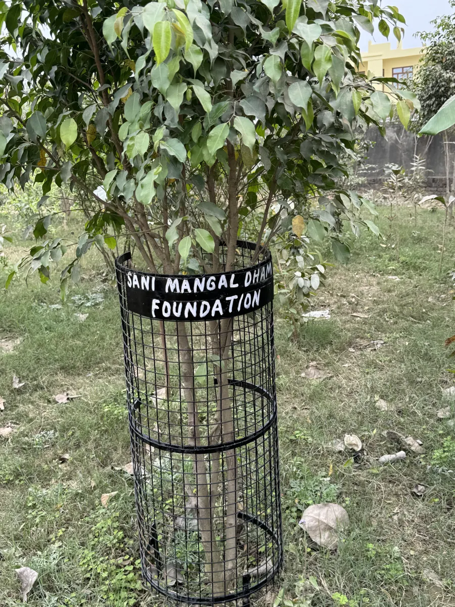 Environment